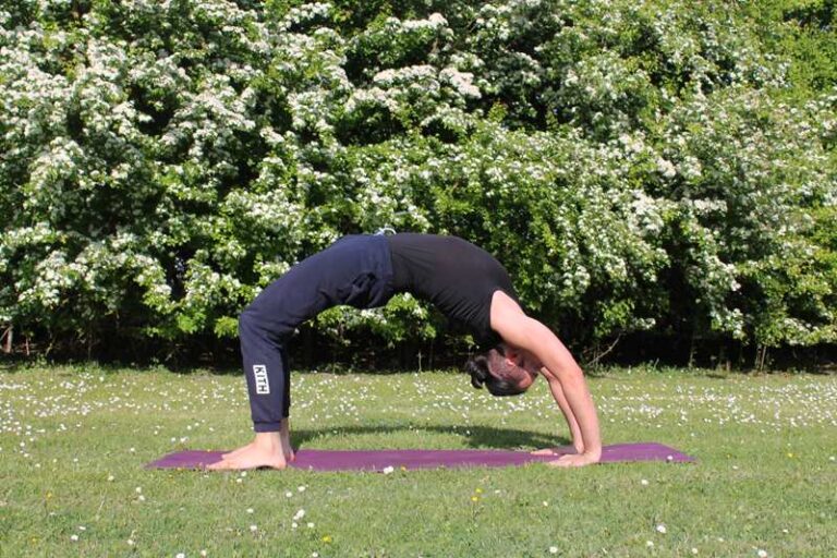 urdhva dhanurasana yoga forlì